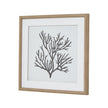 Reef Coral Art Mounted In Beaded Frame