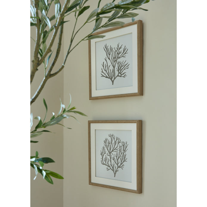 Reef Coral Art Mounted In Beaded Frame