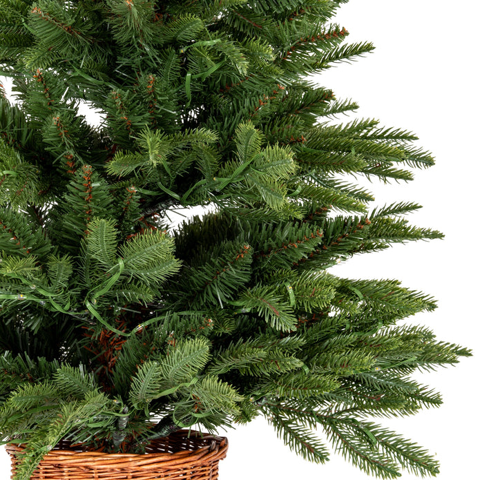 Norway Fir Pre-Lit LED 300L Fir Tree In Rattan Pot